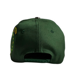 DRAGON VERDE